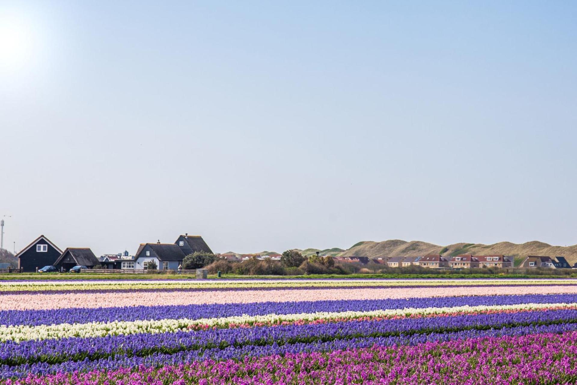 Beach Appartement 14 - Aan De Duinen, Callantsoog Aan Zee Exterior foto